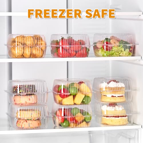 Zezzxu Disposable Square Slice Cake Containers with Hinged Lids, 100 Pack