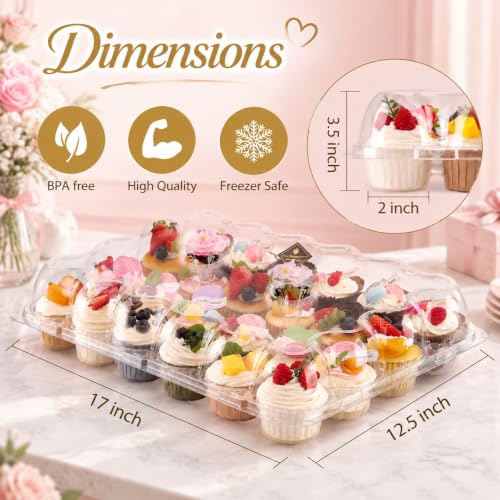 NPLUX 24 Count Cupcake Containers 10 Pack Plastic Cupcake Boxes and Holders