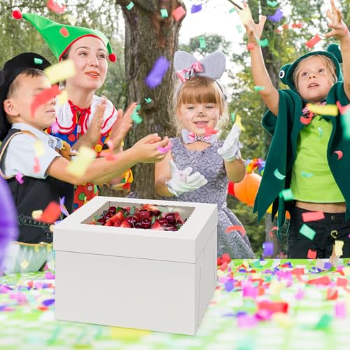WINKIO Cake Boxes 12 inch, Cake Carrier Holder, Storage Transport Container - size: 12×12×8