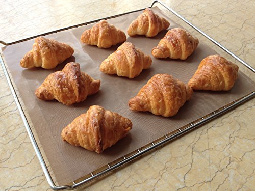 Bluedrop Baking Sheets Silicone Macarons Baking Mat and PTFE Oven Liner 1 Pcs Each Non Stick Baking Mats for Dehydrator Sheets Total Pack of 2