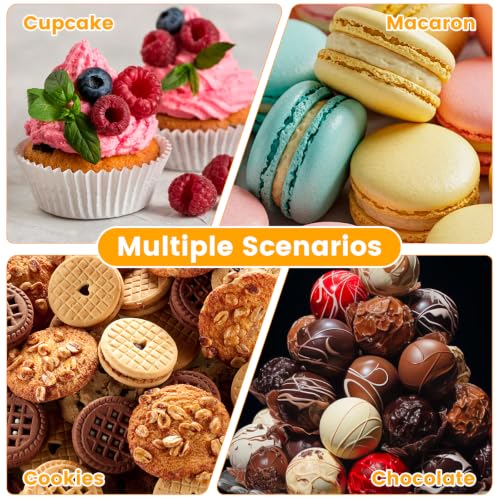 6 Pack Mini Cupcake Container, 12 Count Mini Cupcake Box with Window