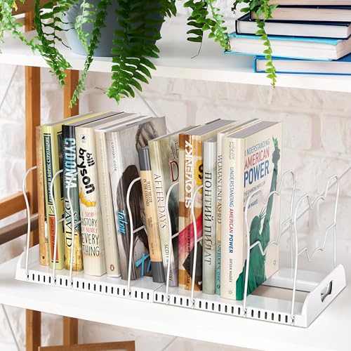 Simple Houseware Expandable Pan Rack 10 Adjustable Compartments, White - color: White, size: 10 Compartments