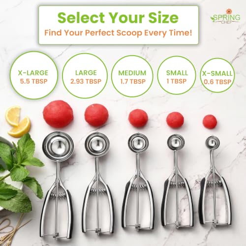 Spring Chef Extra Small Stainless Steel Melon Baller Scoop, #100, Red - color: Red, size: #100 - X-Small - 0.6 Tbsp