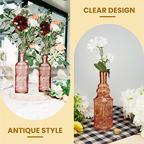 BULK PARADISE Assorted Reddish Glass Bottles with Corks, 6 Pack, 2.5in X 9in, 16oz - color: Reddish/Orange