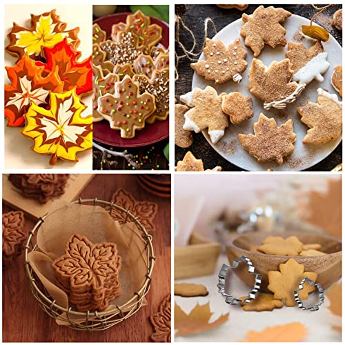 Maple Cookie Cutters Thanksgiving Day, 5 Pack - style: M-Maple Leaf