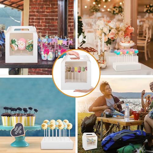 Cake Pop Boxes Packaging with Sticks, Display Carrier, 5 Boxes & 100 Sticks