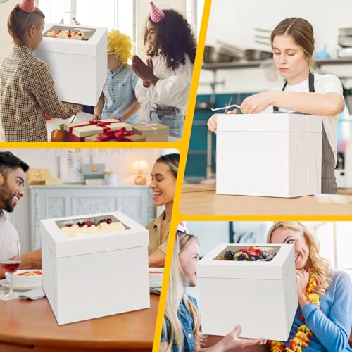 WINKIO Cake Boxes 12 inch, Cake Carrier Holder, Storage Transport Container - size: 12×12×12