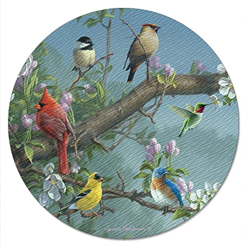CounterArt Beautiful Songbirds 4mm Tempered Glass Lazy Susan Turntable