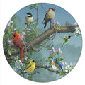 CounterArt Beautiful Songbirds 4mm Tempered Glass Lazy Susan Turntable