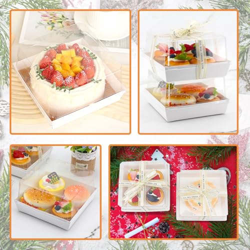 7 x 7 x 4 Inches Paper Charcuterie Boxes with Clear Lids, 25 Pack Large Clear Cake Boxes for 4-6 Inch Cake, Disposable Bakery Boxes Food Containers for Cupcakes,Pie,Cookies, Cocoa Bomb White - color: White