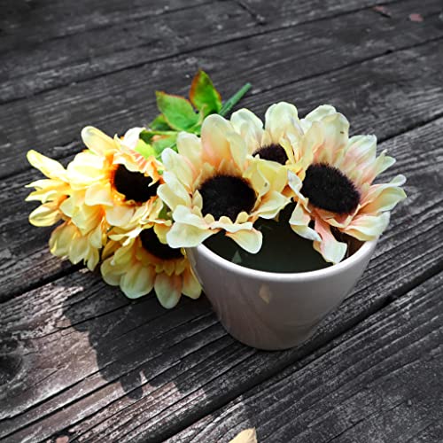 Pack of 6 FLOFARE Round Floral Foam Blocks for Fresh and Artificial Flowers, Each (3" X 1.5"), Dry & Wet Green Flower Foam for Flower Arrangements & Florist Supplies - size: 3 inch