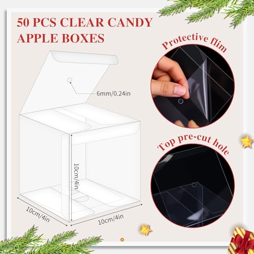 Weysat 100 Pcs Candy Apple Boxes, Gold Base Clear PET with Hole Top - color: Gold