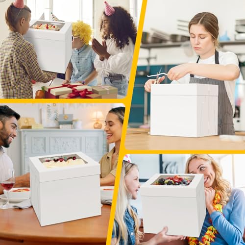 WINKIO Cake Boxes 10 inch, Cake Carrier Holder, Storage Transport Container - size: 10×10×10