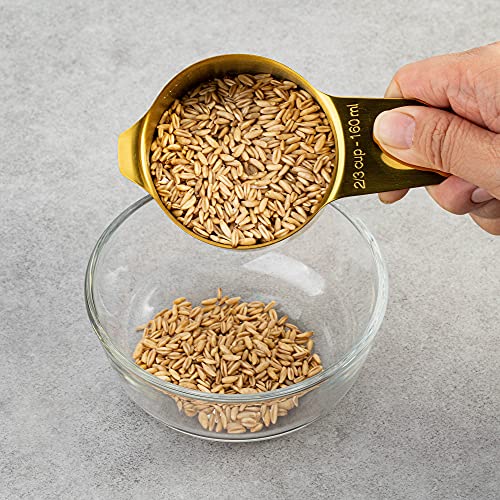 7-Piece 18/8 Stainless Steel Measuring Cups Set, Gold - color: Gold, size: 7 Piece
