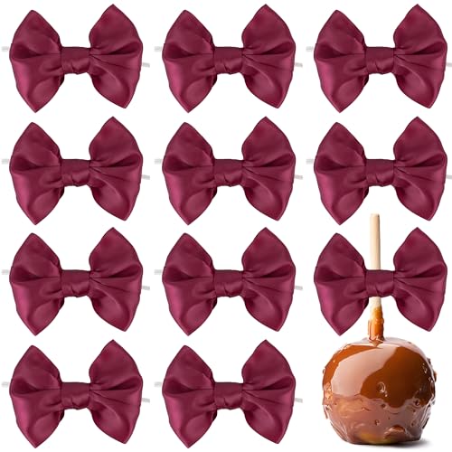 AIMUDI Burgundy Satin Ribbon Twist Tie Bows for Treat Bags 3.5" Maroon Bows for Crafts Small Bows for Gift Wrapping Premade Bows for Cake Pop Candy Apples Gift Bags Wedding Baby Shower -24 Counts - color: Burgundy
