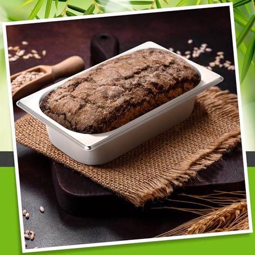 Funnymoom 2 Pcs Stainless Steel Baking Pans,Classic,9.5" X 5" X 2.56"