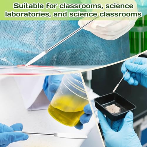 6PCS Lab Spatula Stainless Steel Small Metal Spatula Double Ended Micro Spatula Square/Round End Spatula Makeup Spatula Tool for Mixing Cosmetics (6 Pcs) - color: 6 Pcs
