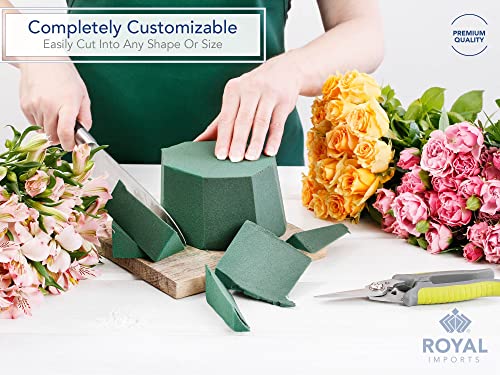 Royal Imports Floral Foam Blocks Pack of 6 (9” x 4.3” x 3.1”) - size: 6 Pack