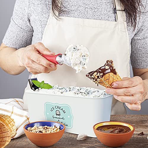 Set of 2 Reusable Ice Cream Tub Containers 1.6 Quart Ea. with Lids