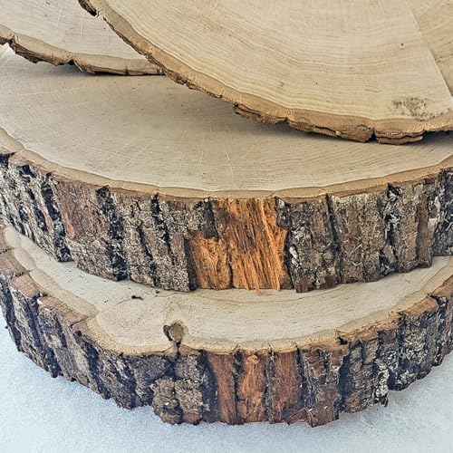 Wilson Décor Large Wood Slices Thick Round Imperfect Extra Value Pack 14pk (9-11 inches x 1 5/8 inches Thick) for Wedding, Table, Rustic, Centerpiece Décor