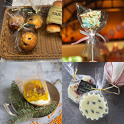 Augshy Cake Pop Bags,300 Pcs 4x6 Inches Clear Treat Cello Bag for lollipop - size: 4x6 Inches