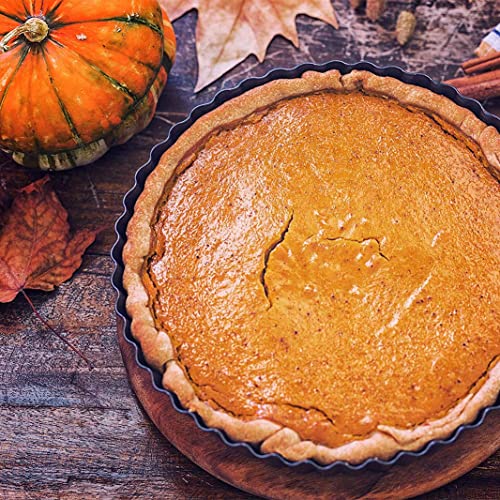 2 Pack 10 Inch Nonstick Tart Pan, Quiche Pan, Carbon Steel Deep-dish Pie Pan with Removable Loose Bottom Quiche Baking Dish - size: 10" x 2.2"