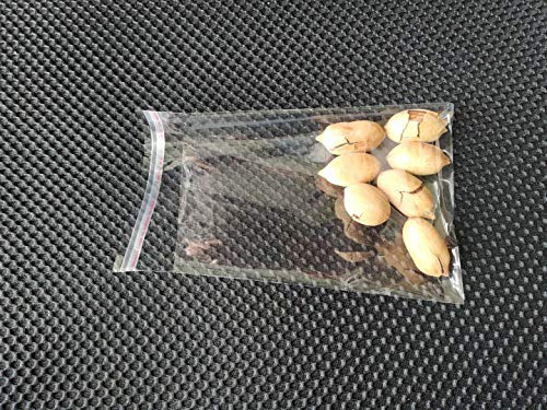 Cellophane Bag 5 x6.5 inch Clear Resealable Bags Plastic Self Adhesive Bags Good for Bakery,Favors, Candle, Soap, Cookie Office Stationery Storage Bags,Arts & Crafts (5X6.5inch-100Pcs) - size: 5x6.5 Inch (Pack of 100)